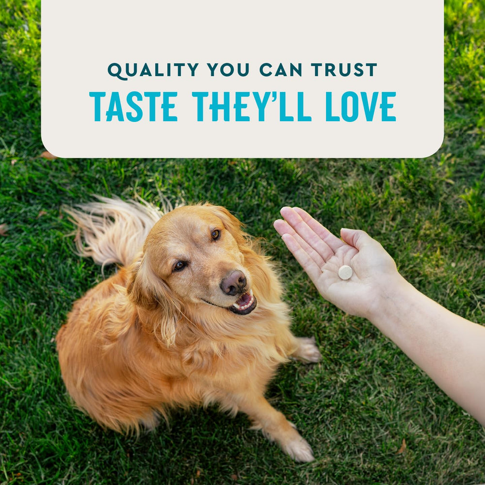 VetIQ chicken-flavor tablets ease daily dosing.