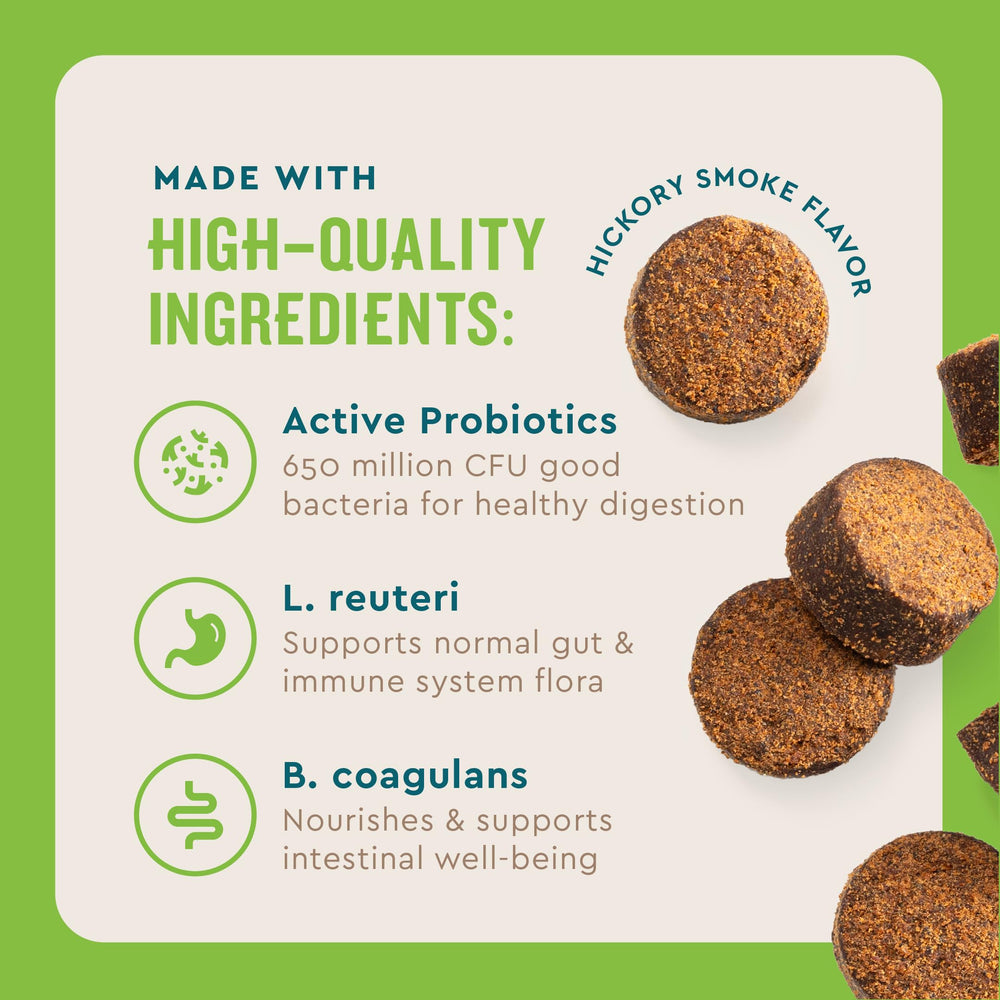 VetIQ probiotic dog bowl serving demonstrates simple integration into meals.