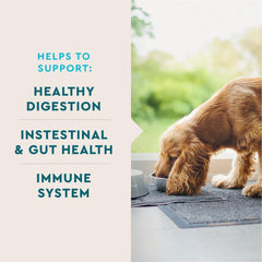 VetIQ probiotic dog packaging front signals NASC-certified quality and safety.