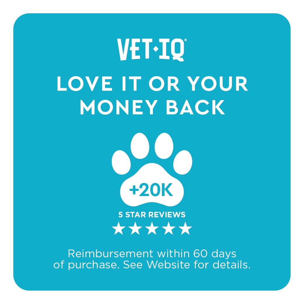 VetIQ supports senior dogs' mobility and comfort.