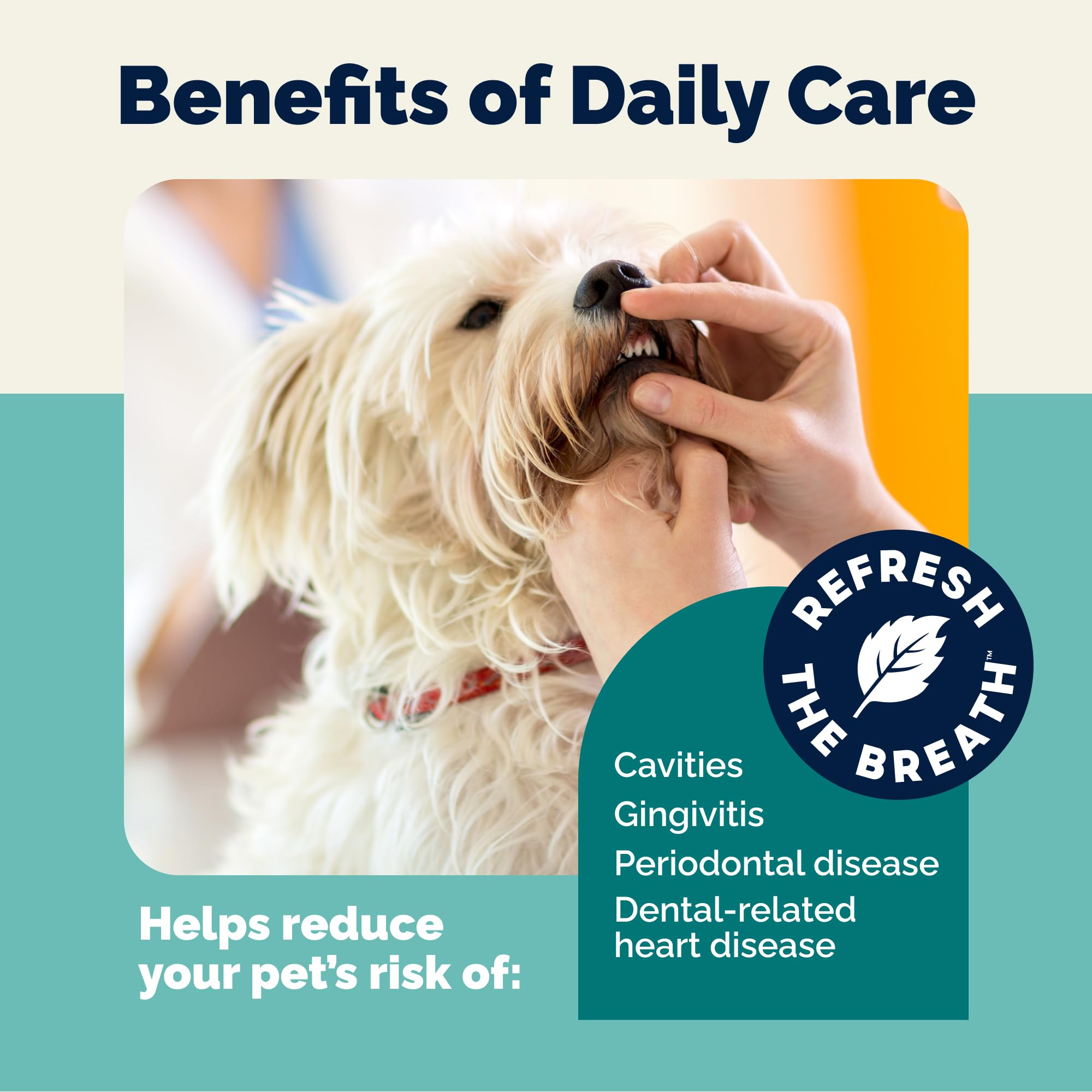 50-count jar for nearly two months of daily dog dental care