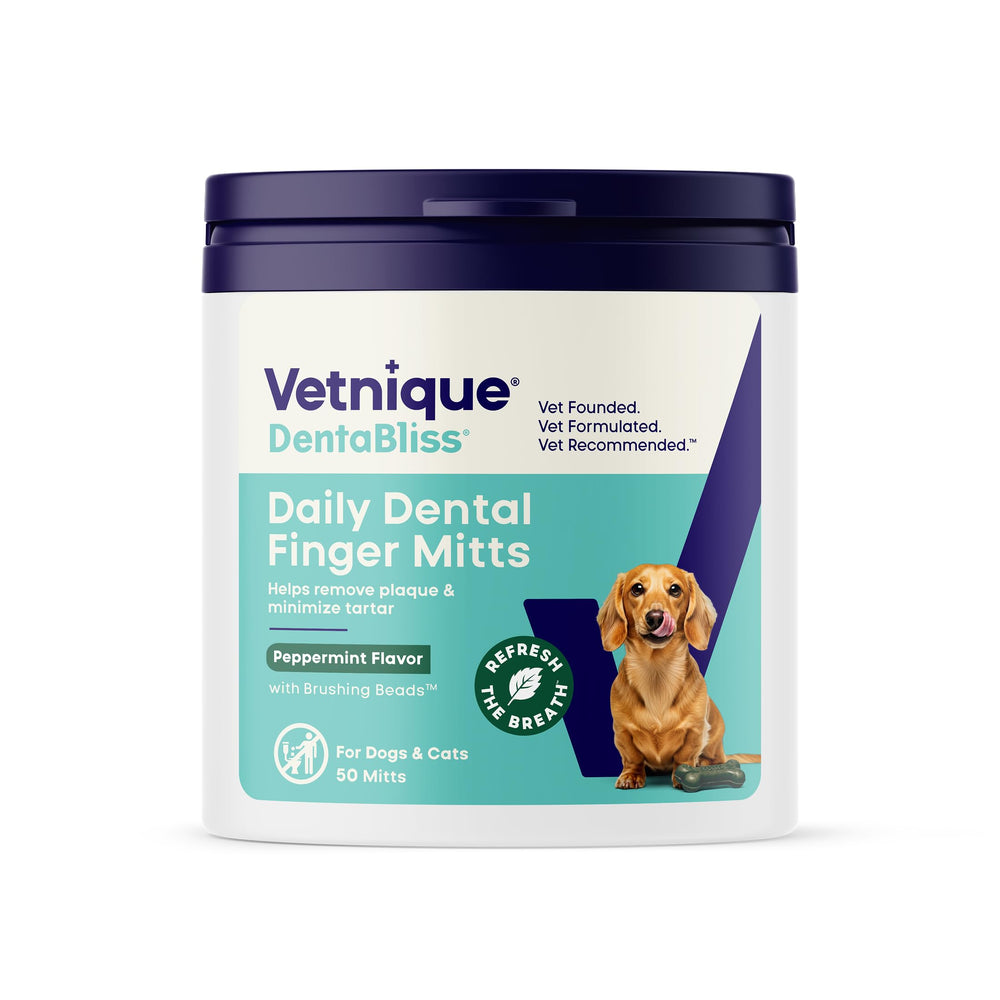 Vetnique Dentabliss fingermitts packaging jar for daily use
