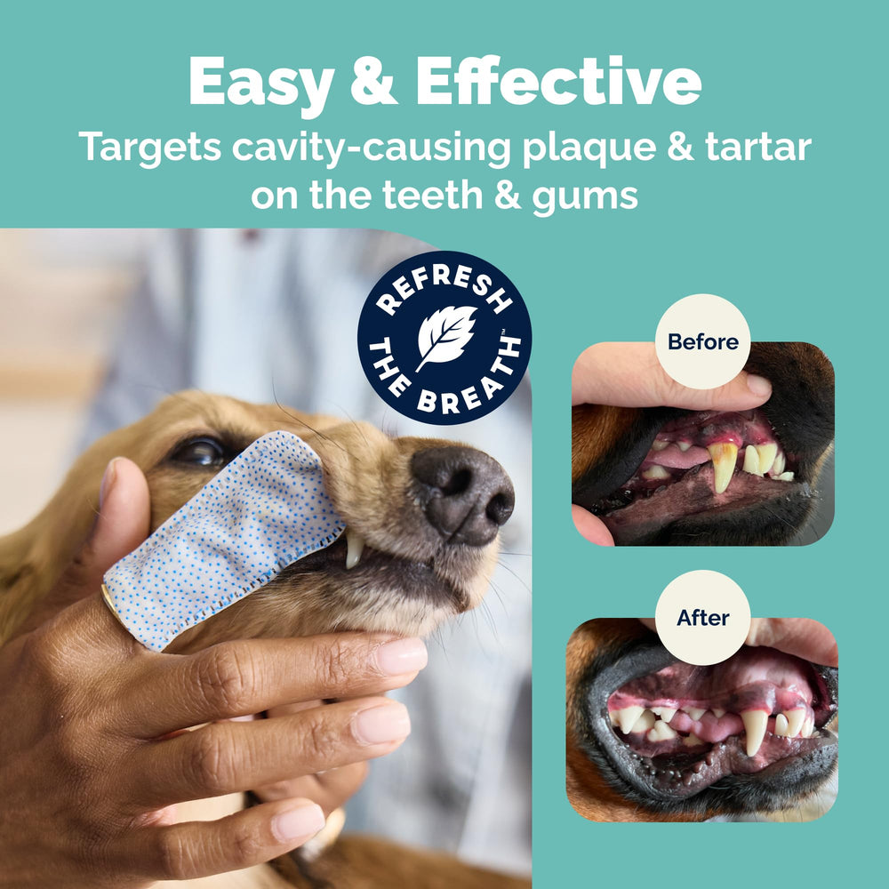 Vetnique Dentabliss fingermitt secure-fit design during cleaning