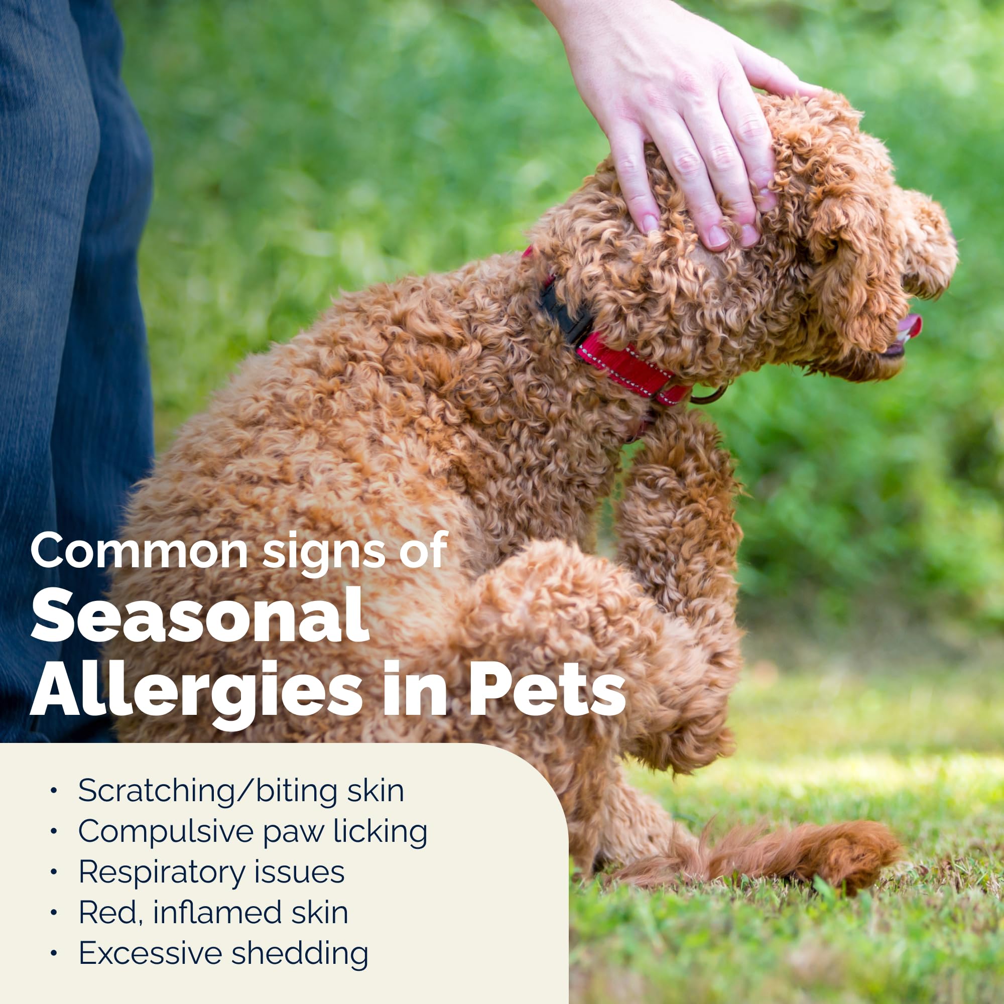 Fragrance-free Vetnique Dermabliss spray for sensitive pets.