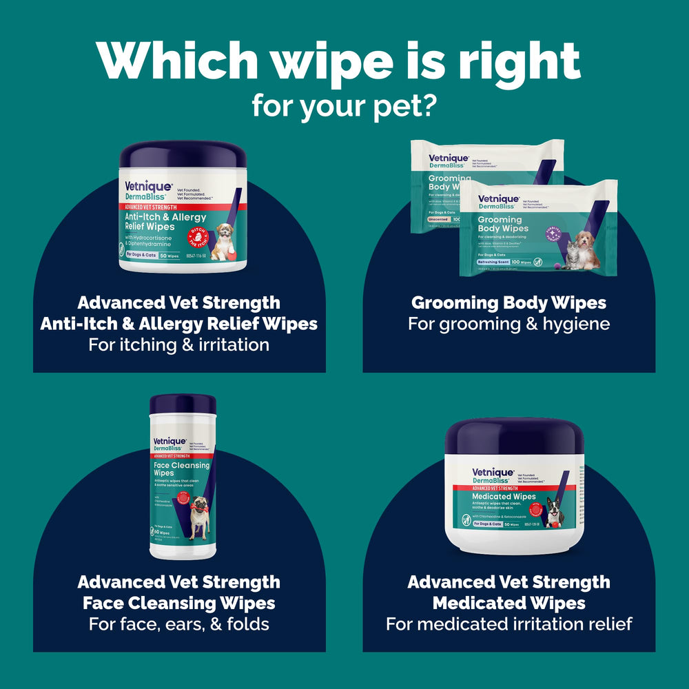 English Bulldog portrait with Vetnique Dermabliss wipes used on facial folds.