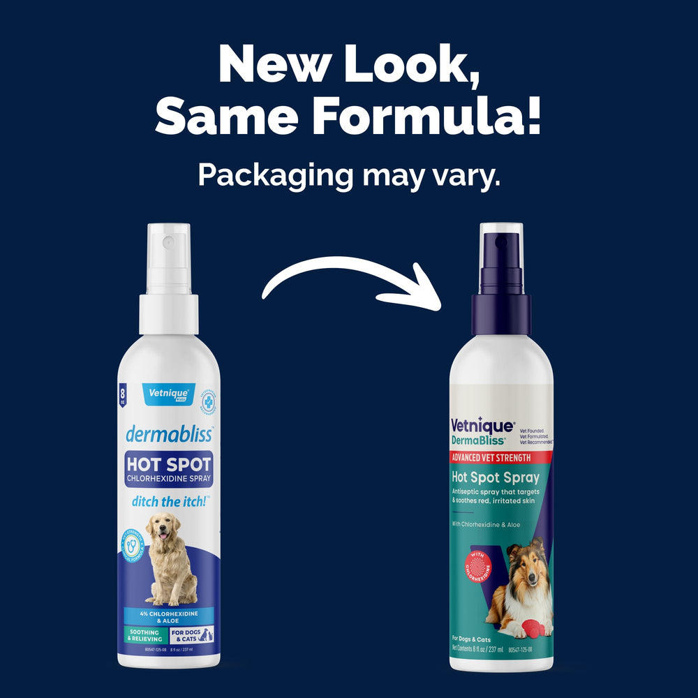 Dermabliss spray on dog highlights targeted hotspot treatment.