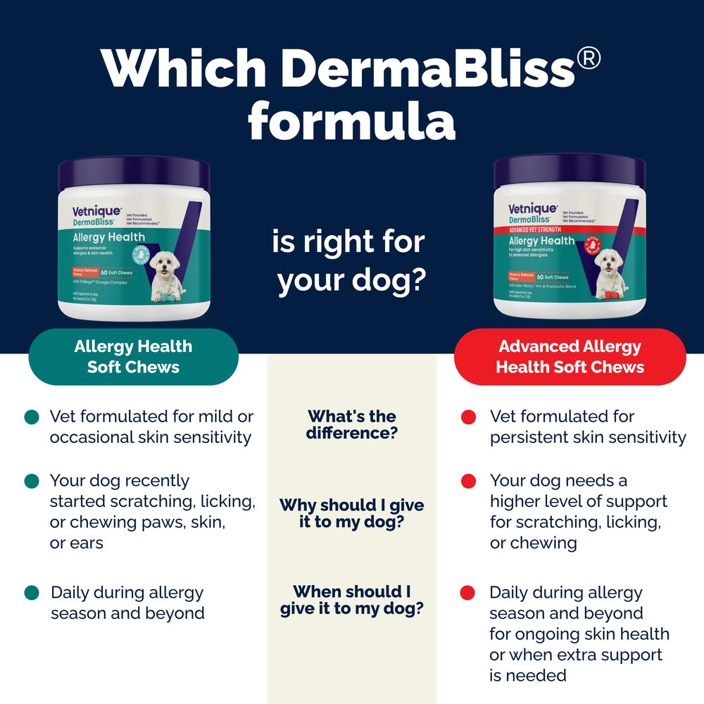 Probiotic blend shown in DermaBliss for gut and immune support in dogs.