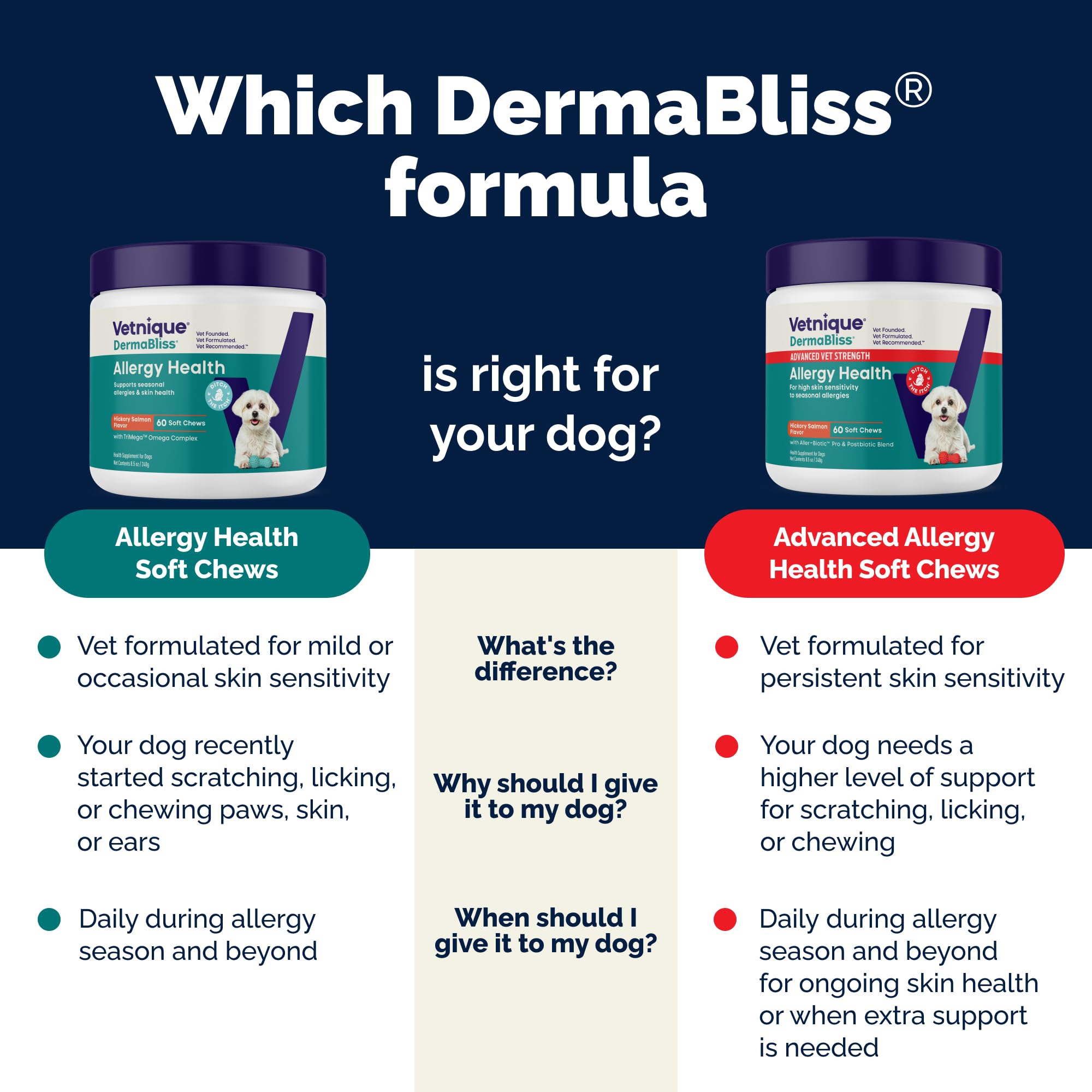 Probiotic blend illustration highlights gut health support in DermaBliss