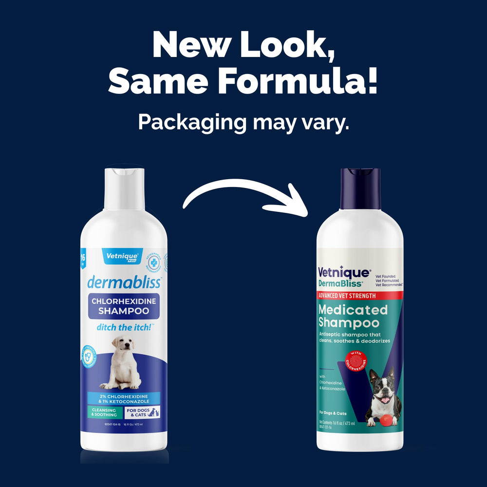 Dermabliss shampoo lather shown on pet fur for cleansing.