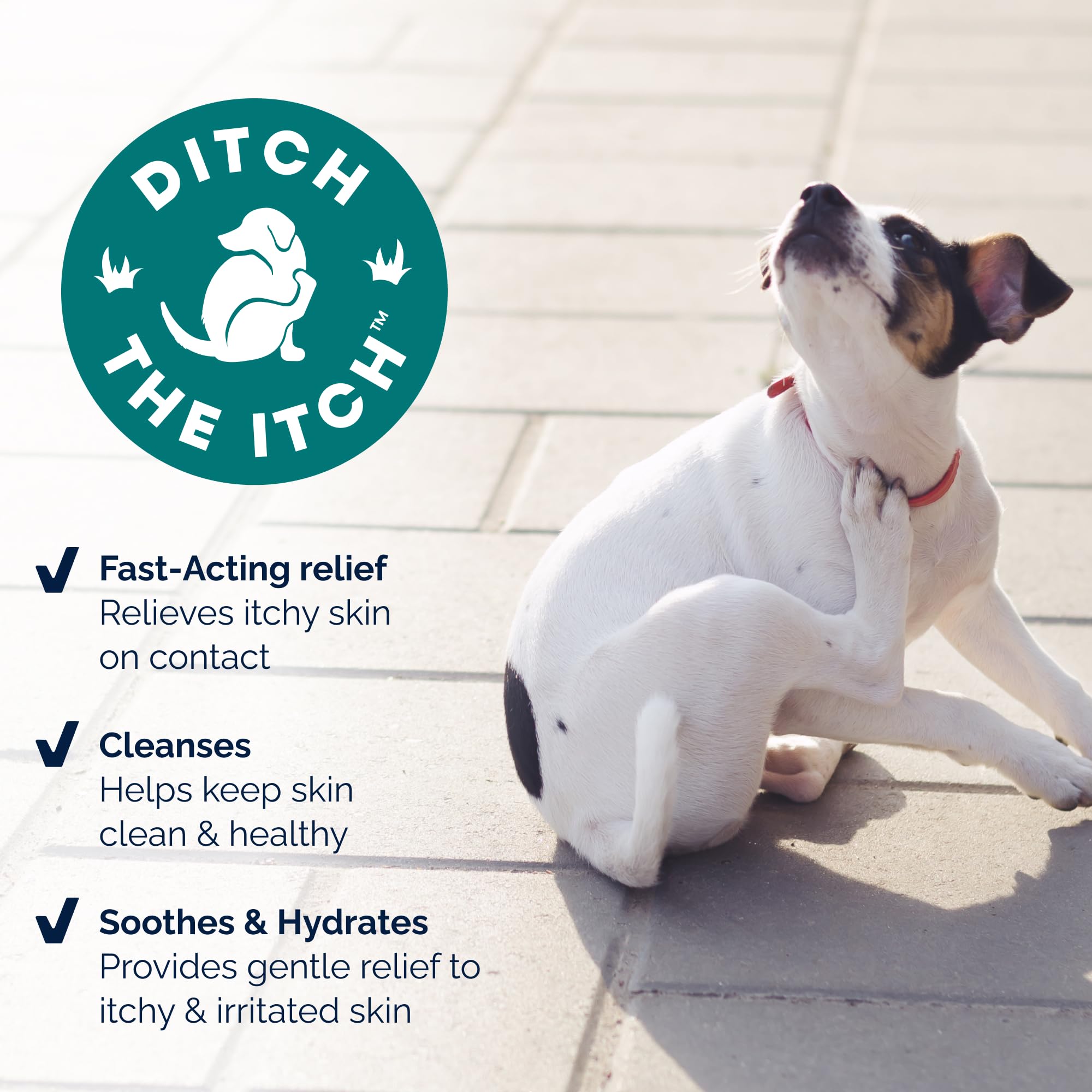 Dog using Dermabliss wipe after outdoor play for itch relief