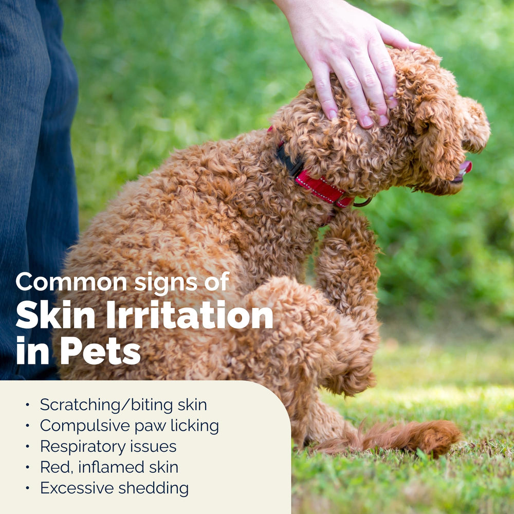 Wipe being used on a pet's paw during a walk outdoors.