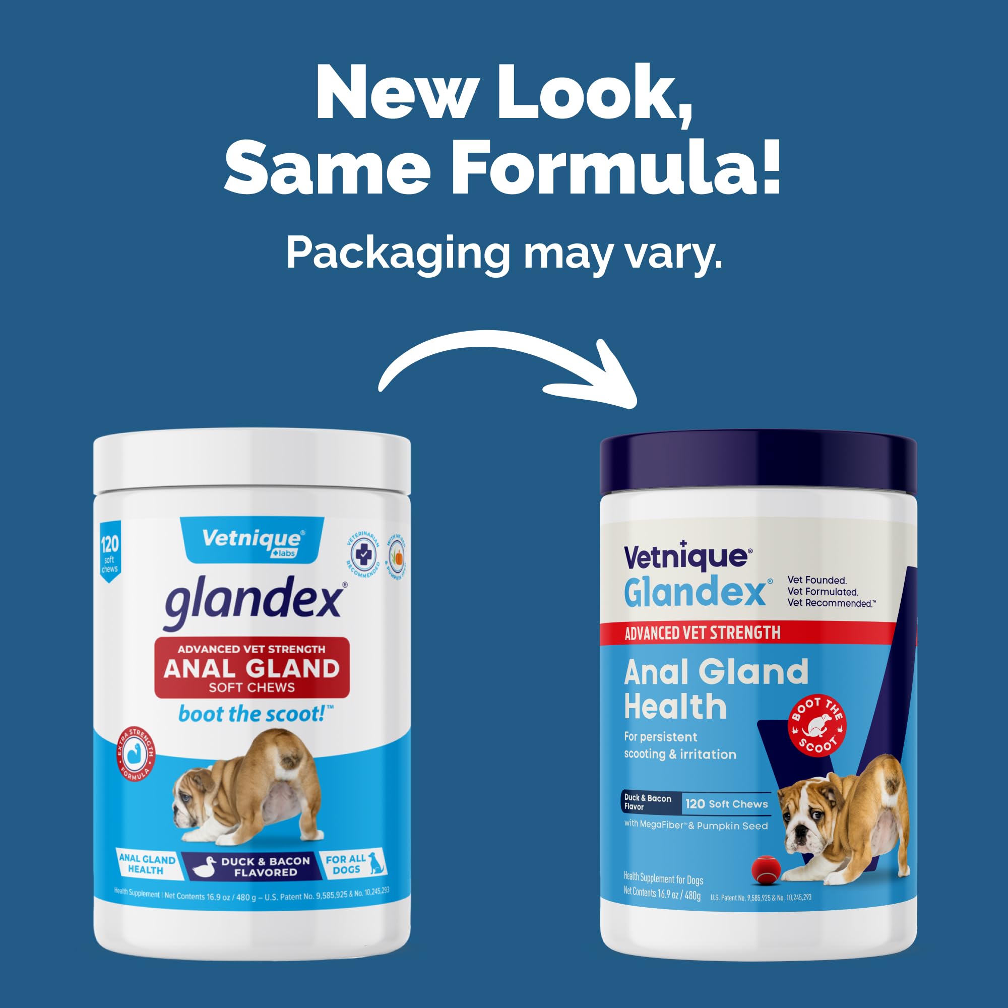 Vetnique Glandex advanced-strength digestive enzymes aid nutrient breakdown in dogs.