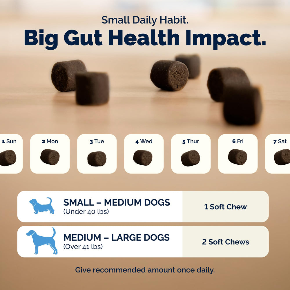 Vetnique Glandex Anal Gland Chews – pair for gut and gland support
