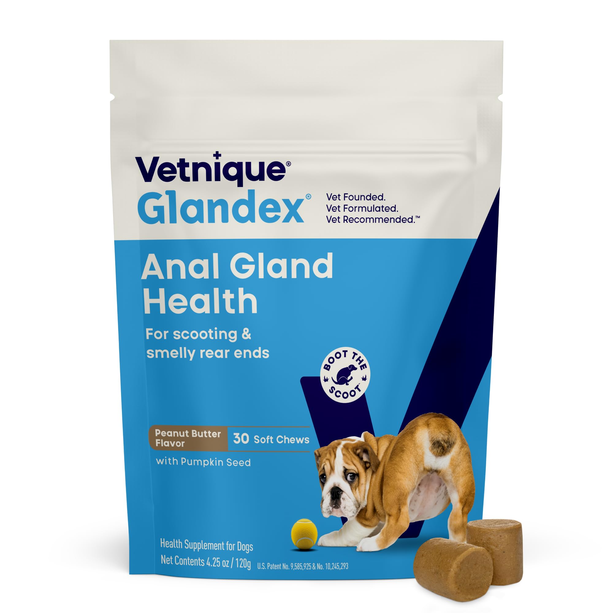 Vetnique Glandex bottle front showing label and pumpkin-based digestive support for dogs.