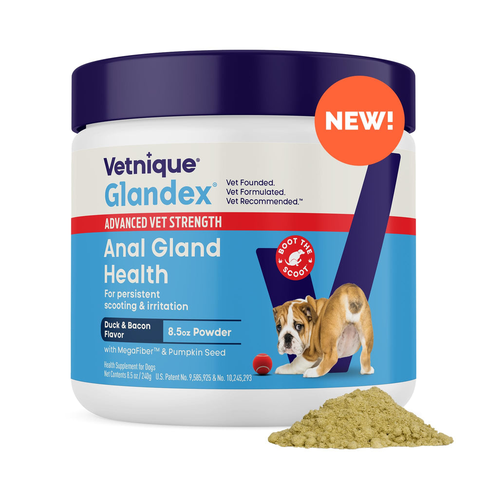 Vetnique Glandex bottle showing pumpkin-based formula supporting digestive health.