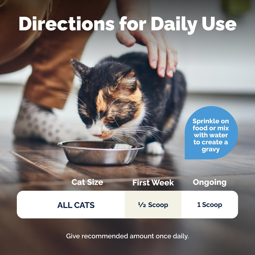 Vetnique Glandex cat digestive enzyme blend supports bowel function