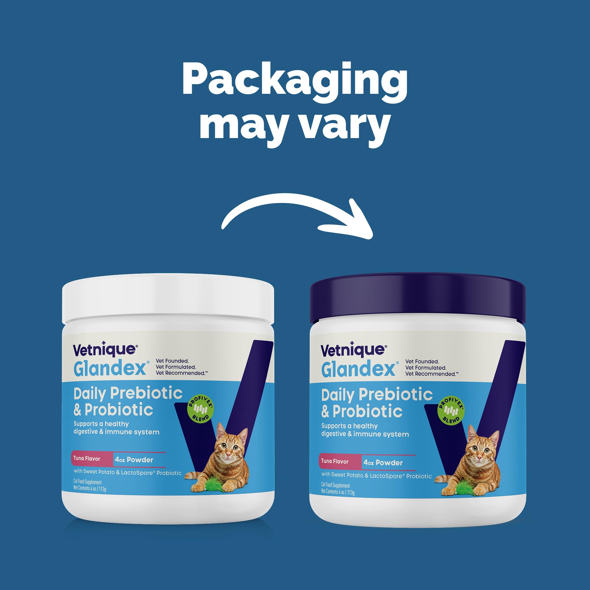 Vetnique Glandex cat probiotic powder boosts daily gut health