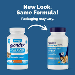 Vetnique Glandex enzymes and probiotics blend aids dog digestion.