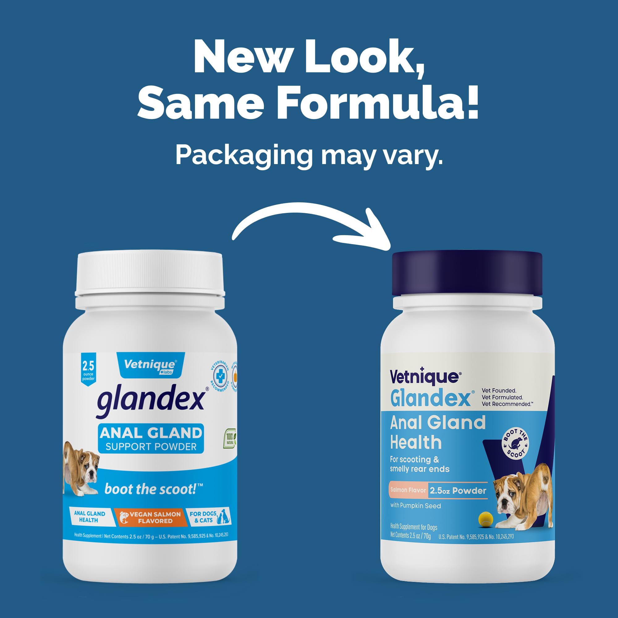 Glandex dog fiber powder scoop shown for daily digestive support