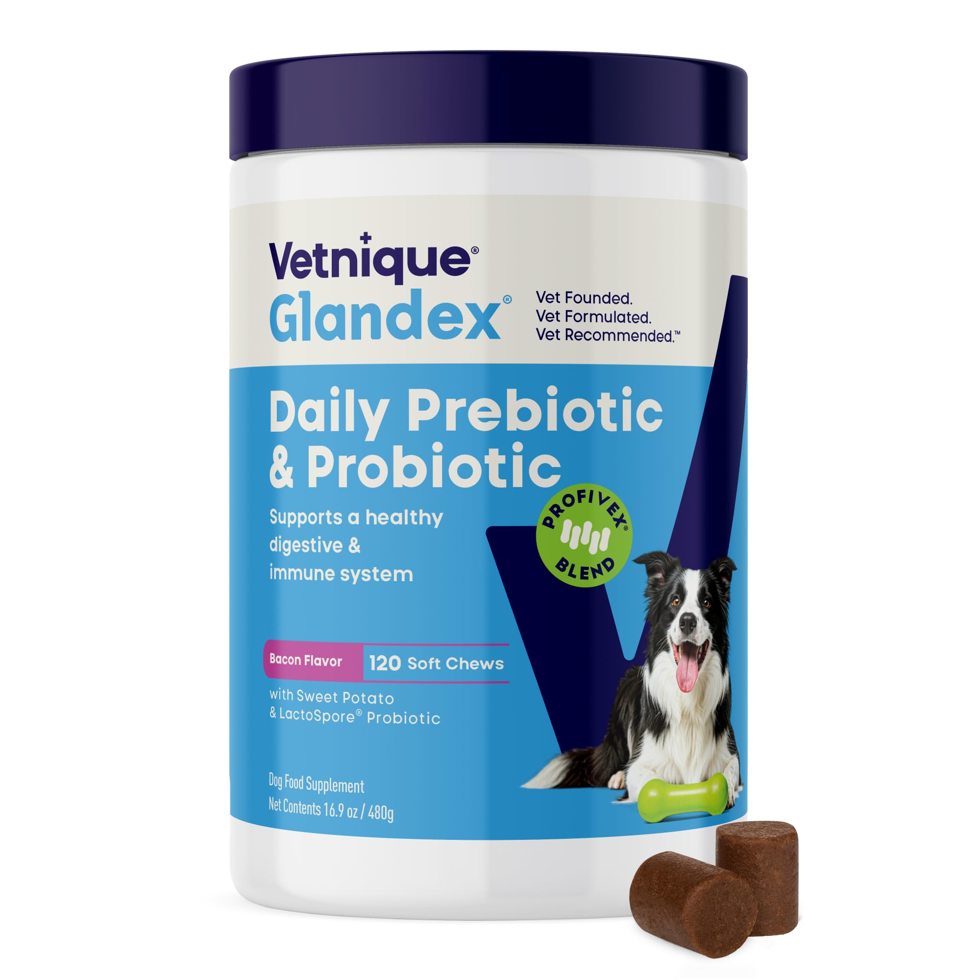 Vetnique Glandex dog probiotic chews bottle – supports daily gut and immune health