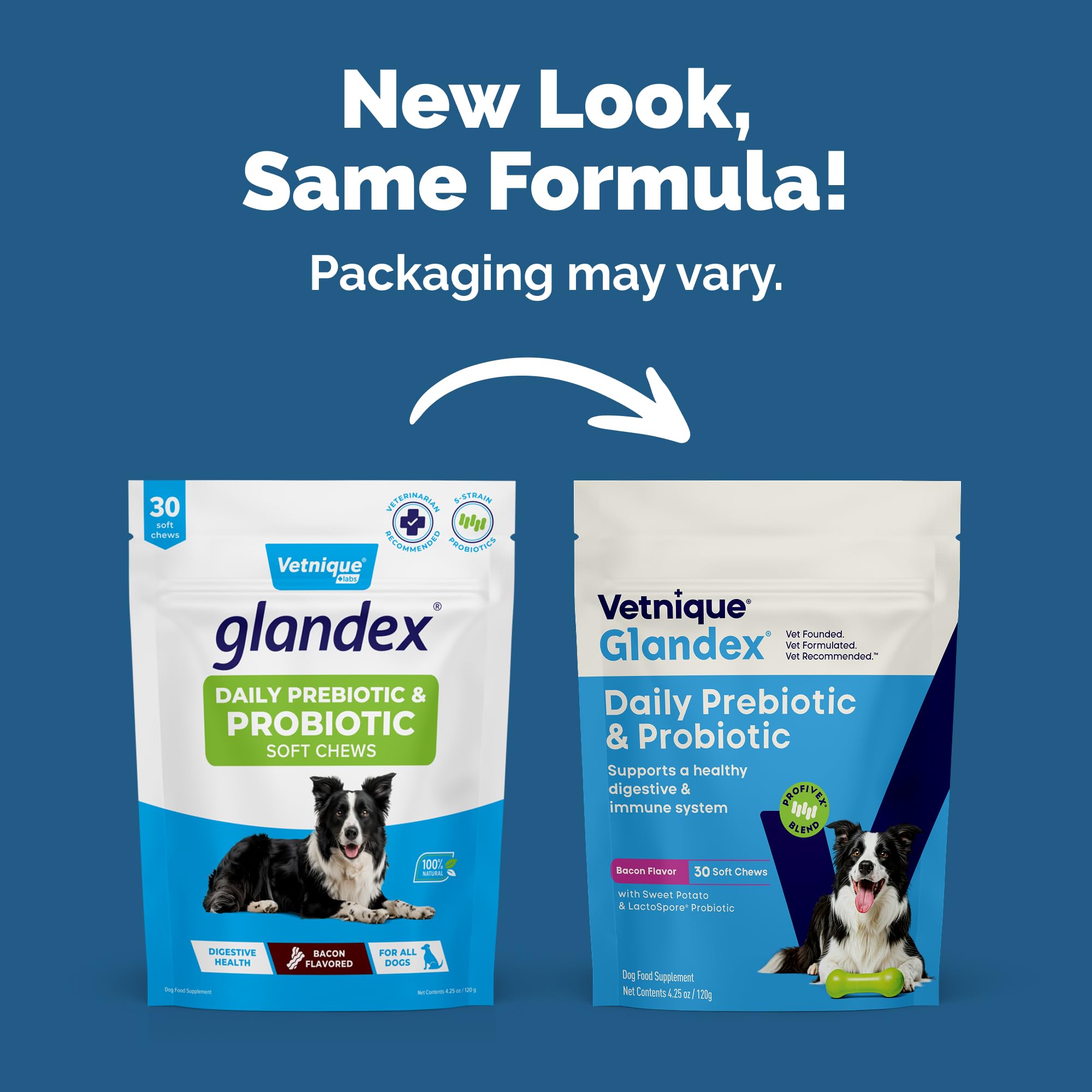 Close-up of Vetnique Glandex probiotic chews for dogs.