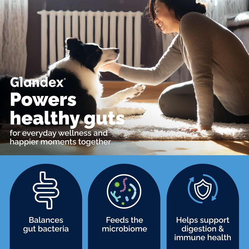 Glandex chews on kibble for easy daily use.