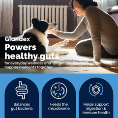 Vetnique Glandex soft chews texture offers tasty daily gut comfort for dogs