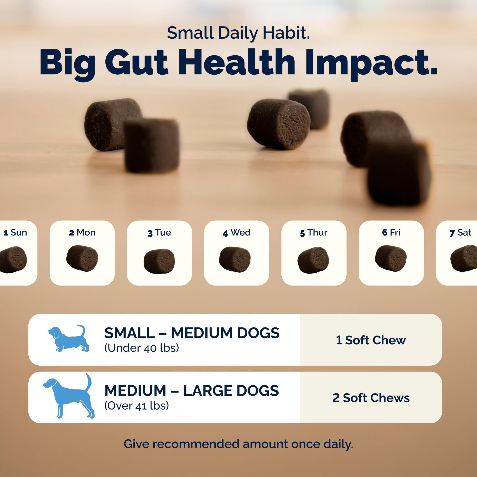 Concept image showing gut and immune health benefits with Vetnique.