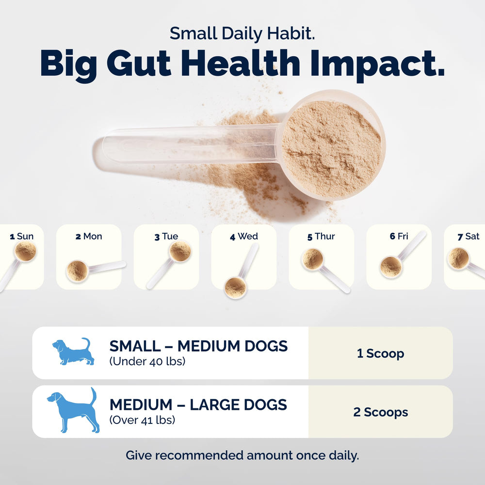 Dual prebiotic blend in Glandex supporting gut microbiome health.