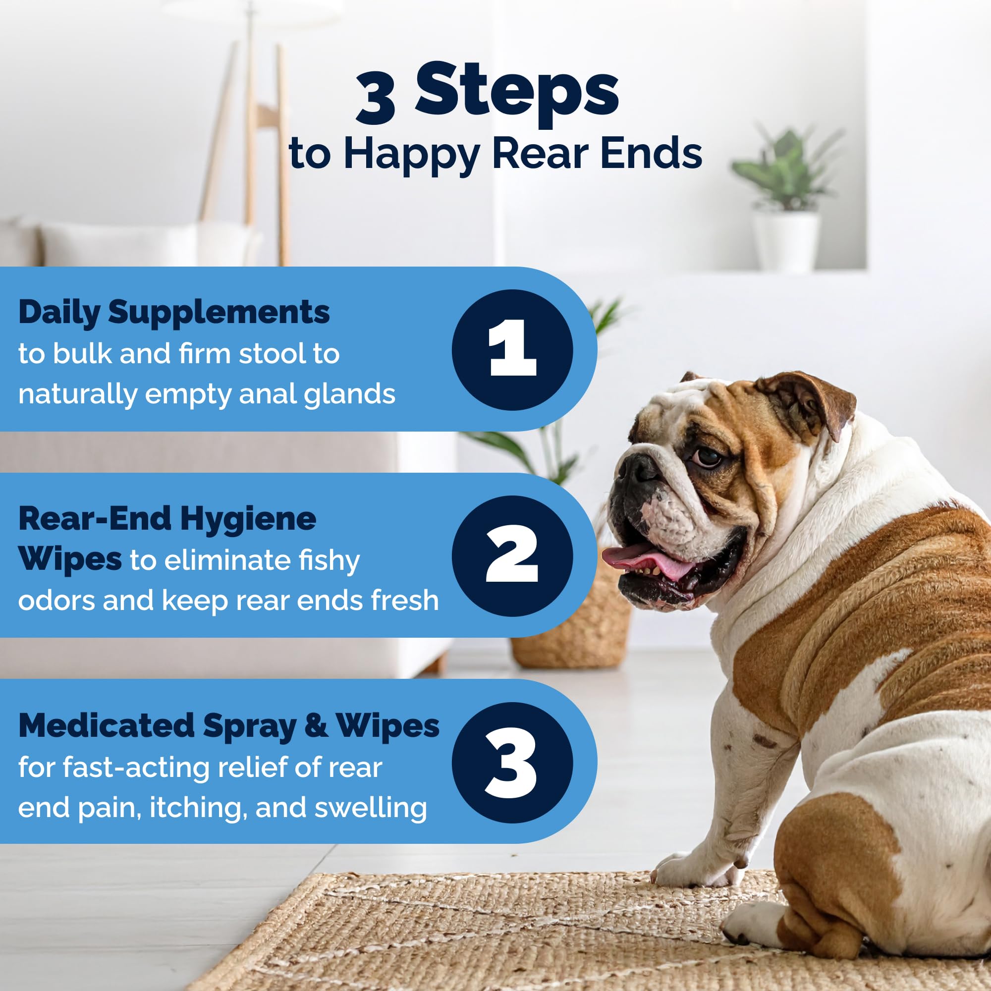 Glandex fiber supplement pairing shown for holistic anal gland health.