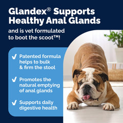 Ingredients panel on Vetnique Glandex packaging highlighting fiber and enzymes.