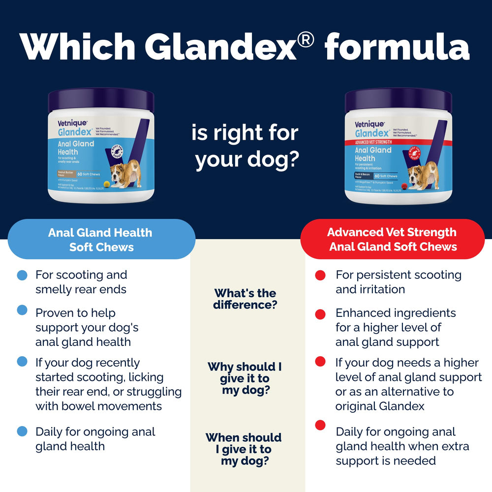 Vetnique Glandex made in USA label signals quality.