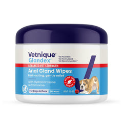 Vetnique Glandex medicated dog wipes bottle offers quick, soothing relief for irritated anal areas.