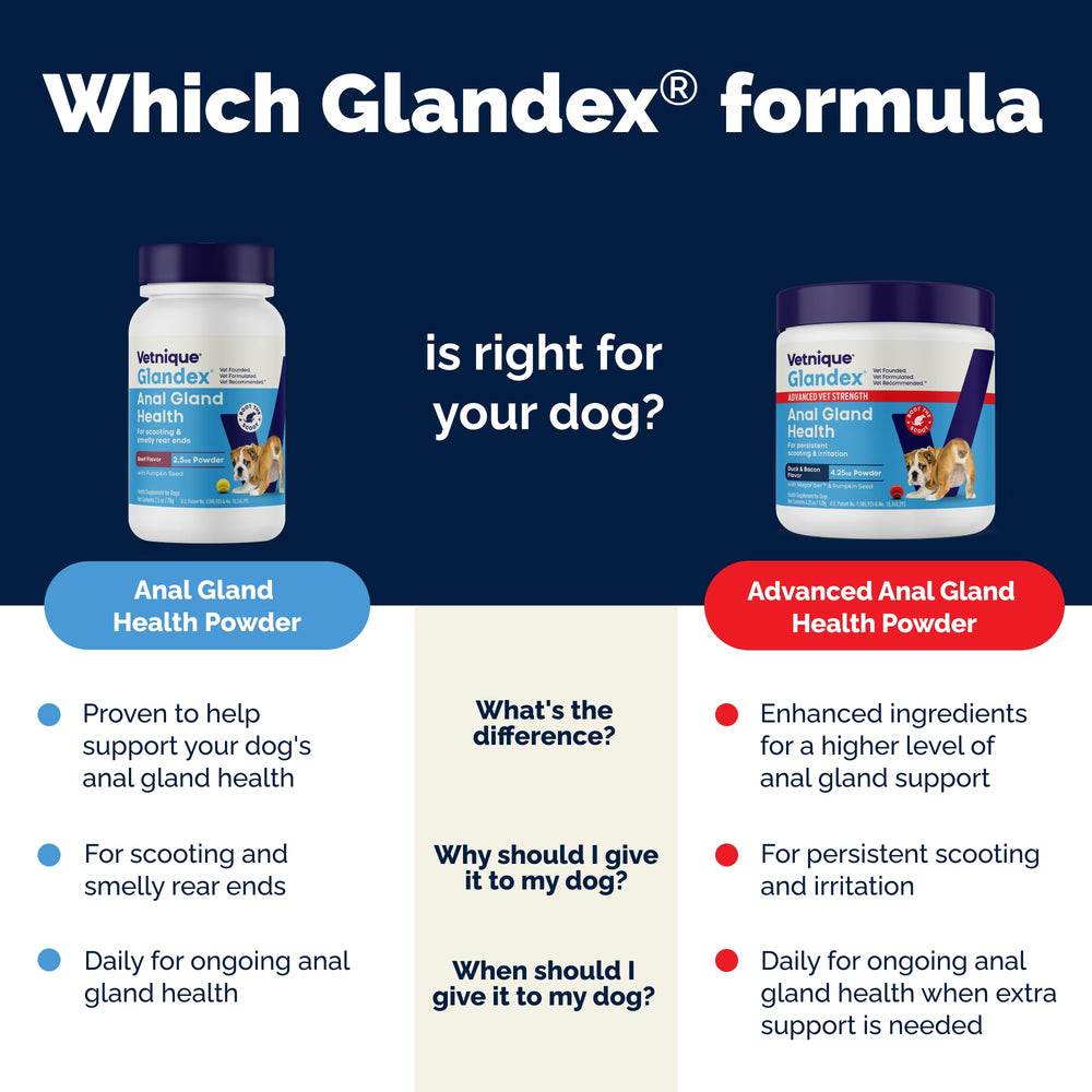 Omega fatty acids support skin, coat, and overall wellness.