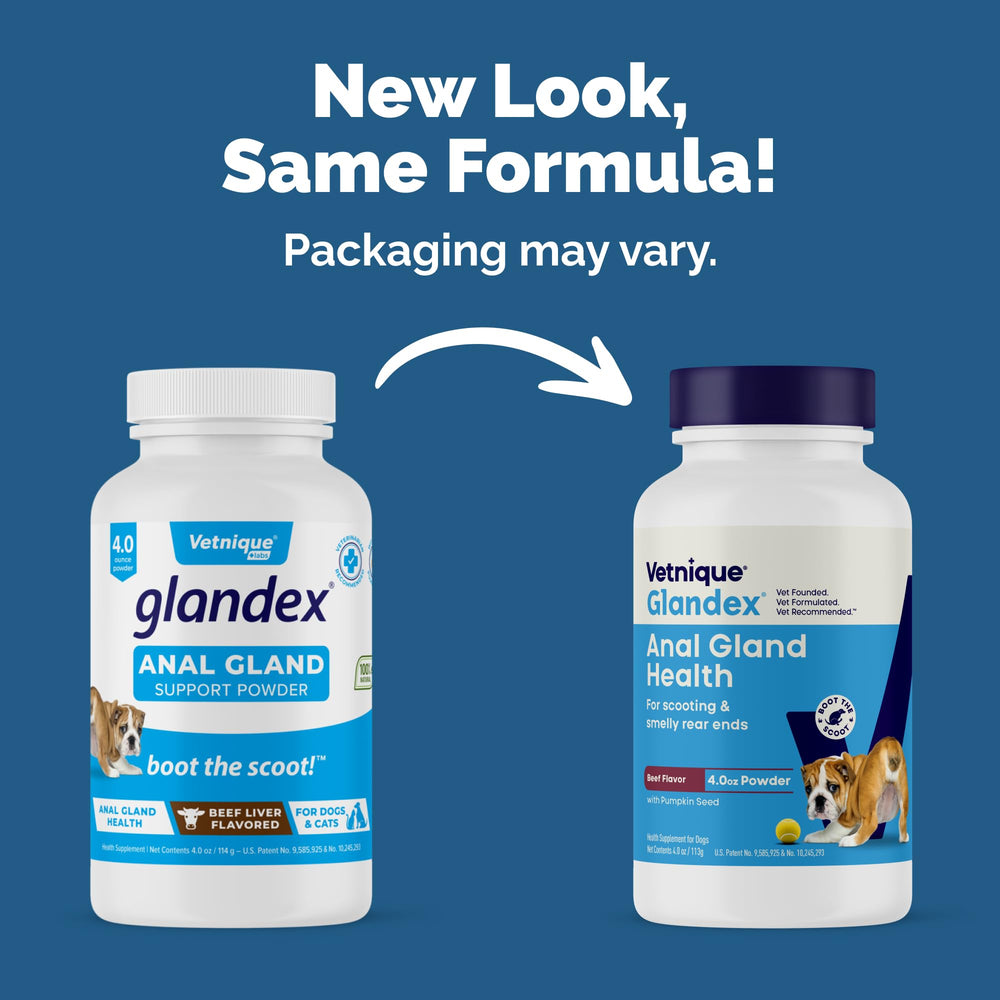 Scoop of Vetnique Glandex powder ready to serve as a meal topper.