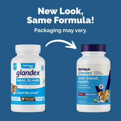 Scoop of Vetnique Glandex powder ready to serve as a meal topper.