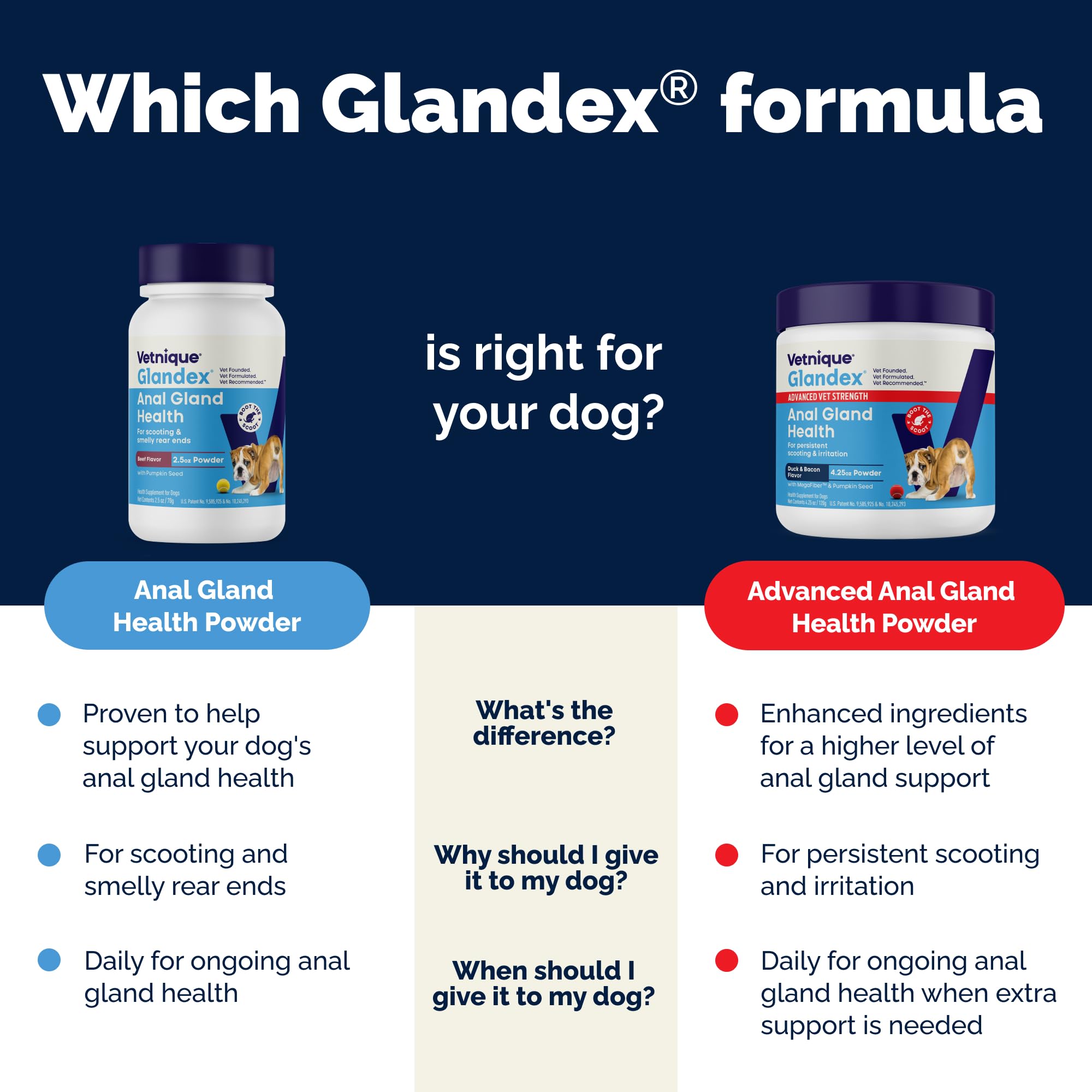 Vetnique Glandex probiotics promoting gut balance