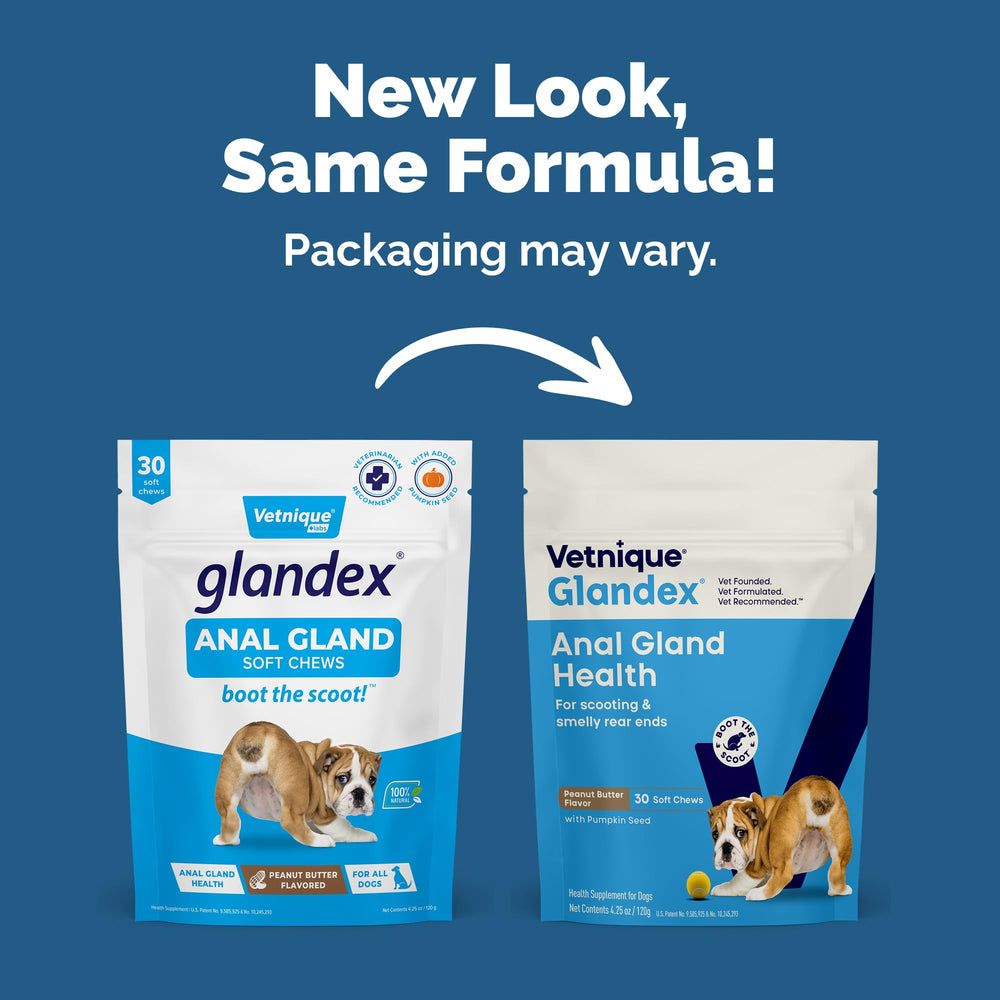 Close-up of Vetnique Glandex pumpkin-flavored chews for dogs.