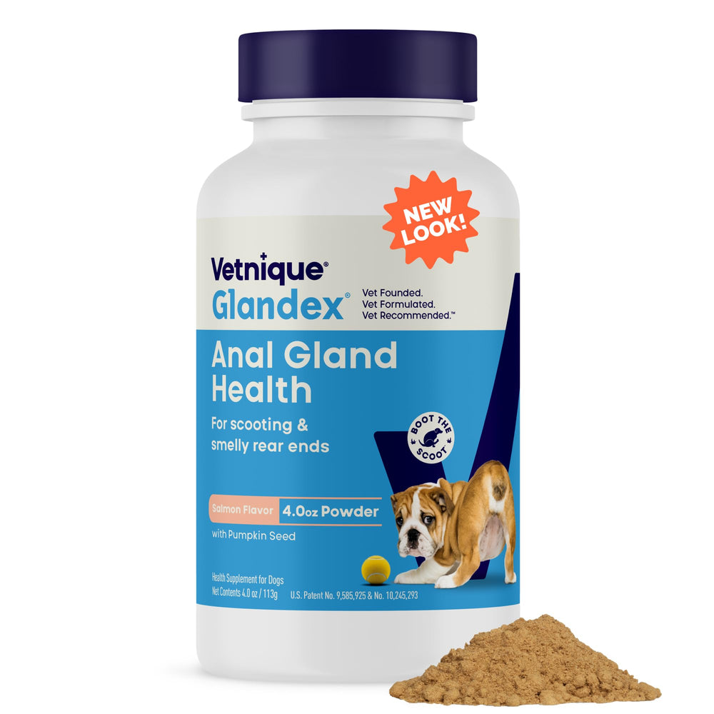 Vetnique Glandex pumpkin seed powder supports digestive balance in dogs.