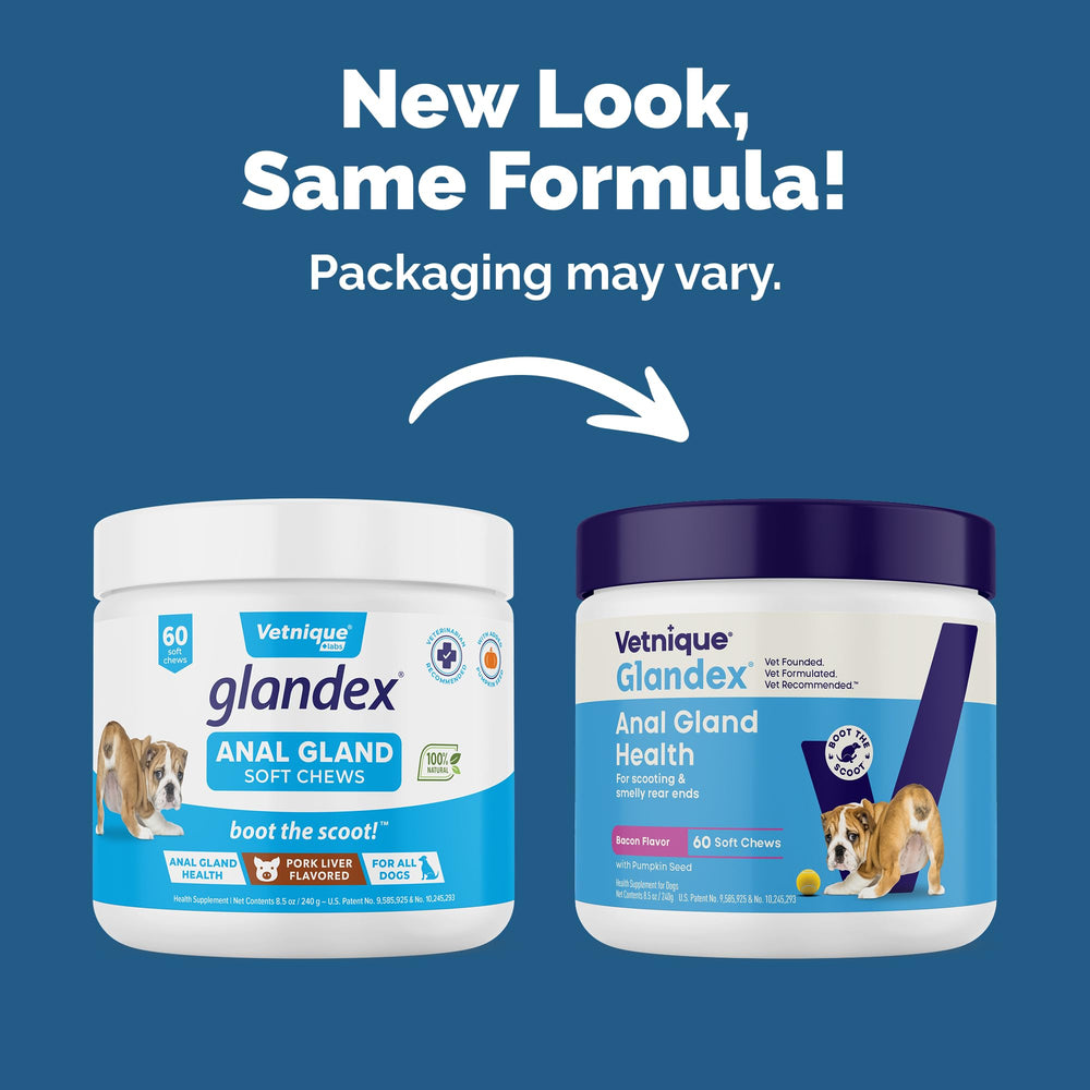 Glandex pumpkin seed ingredient close-up highlighting fiber for digestive support.