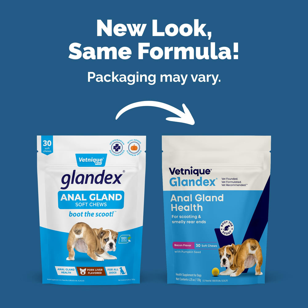 Vetnique Glandex pumpkin seeds close-up highlighting natural fiber support