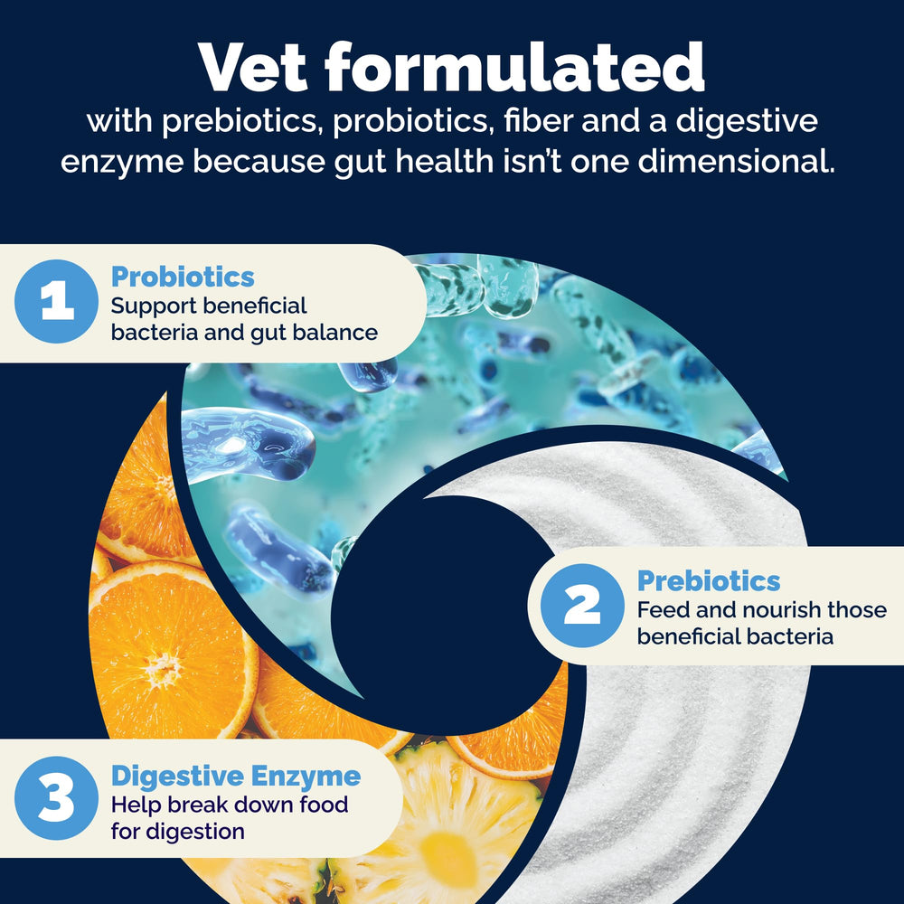 Vetnique Glandex soft chews – shelf-stable daily gut routine