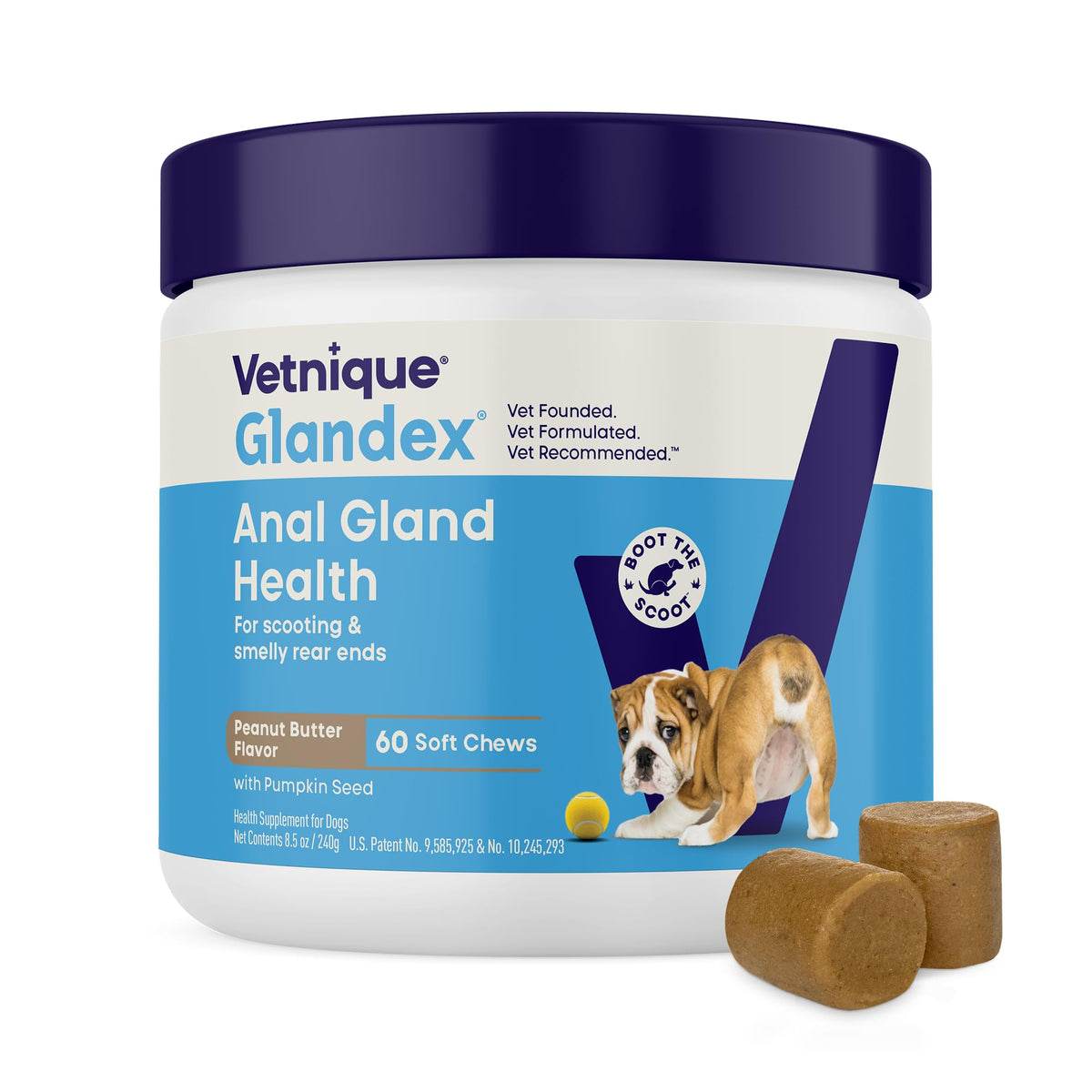 Vetnique Glandex soft chews pumpkin bottle: tasty daily digestion support.