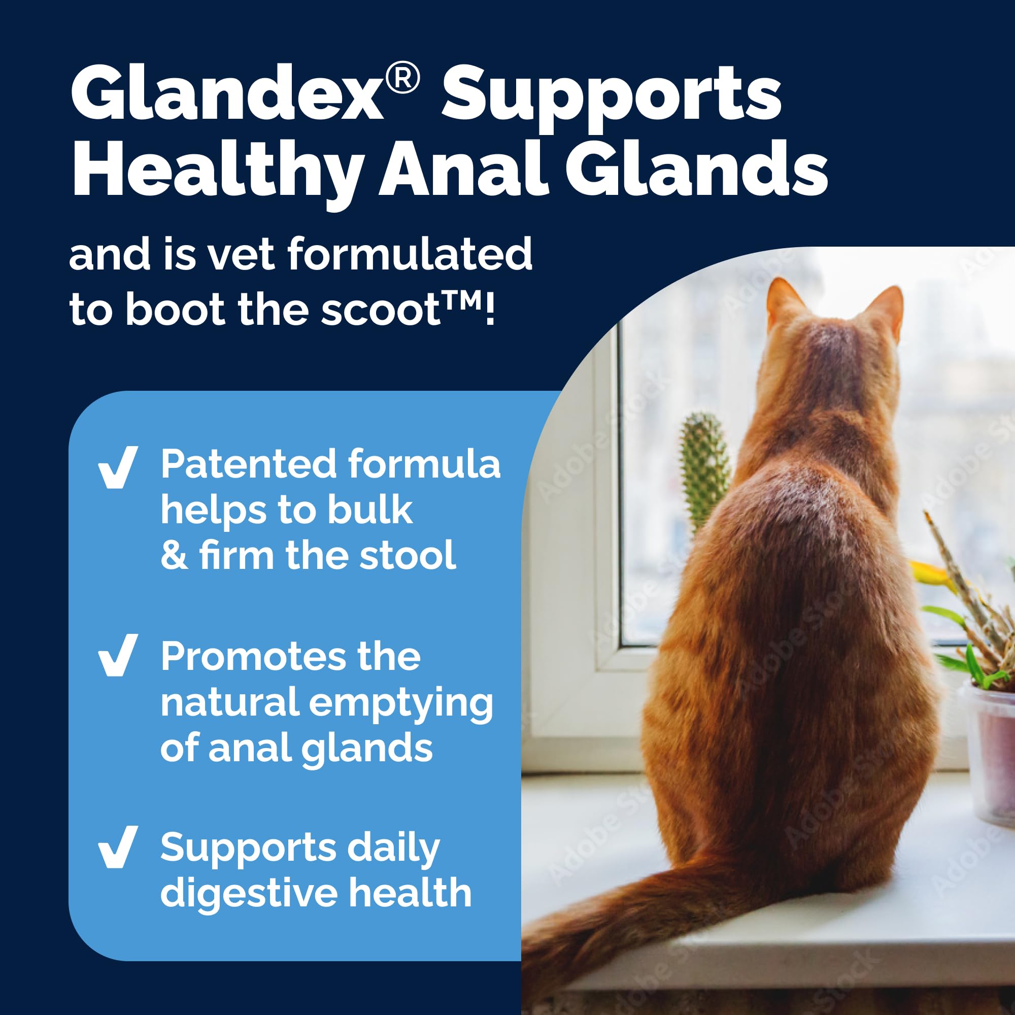 Tuna-flavored Vetnique Glandex powder served as a tasty supplement option for cats.