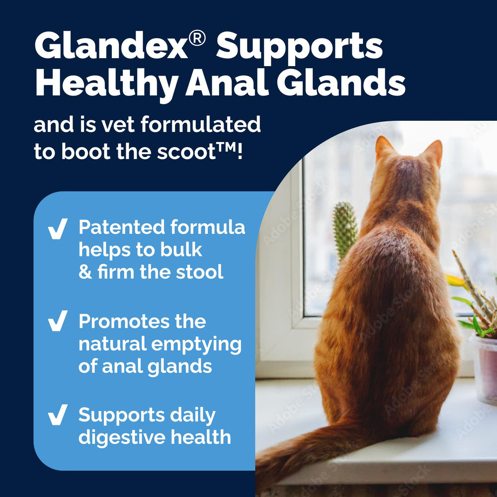 Tuna-flavored Vetnique Glandex powder served as a tasty supplement option for cats.