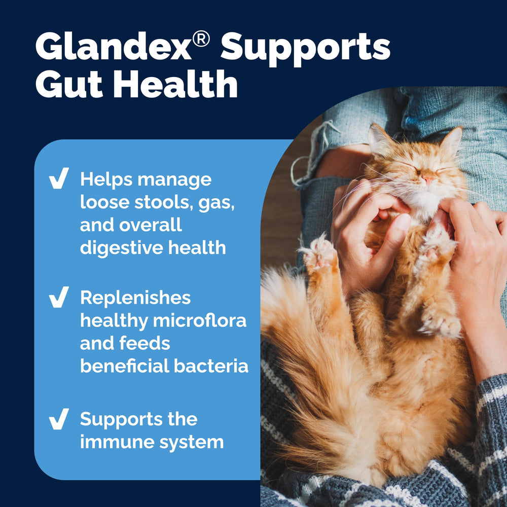 Vetnique Glandex tuna-flavored powder is easy to mix with meals