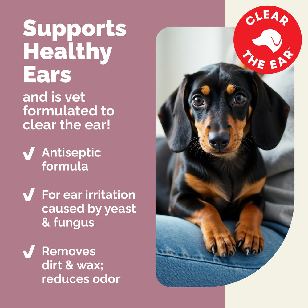Vetnique Oticbliss active ingredients chlorhexidine and ketoconazole, antifungal and antibacterial support.