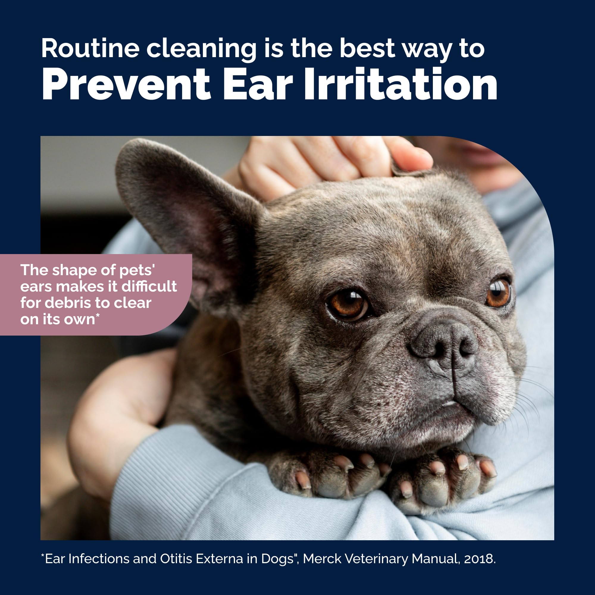 Vetnique Oticbliss after-swimming-use scenario shows post-swim ear care.