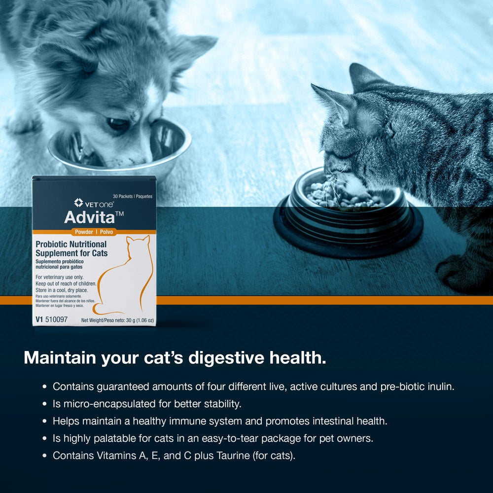 Daily mix of Advita powder into cat food simplifies administration.