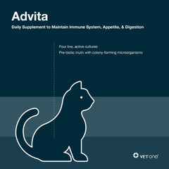 Encapsulated probiotic capsules in Advita indicate stable gut support.